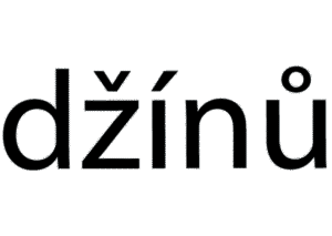 logo dzinu trasparente 3